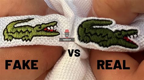 lacoste original vs kancing.